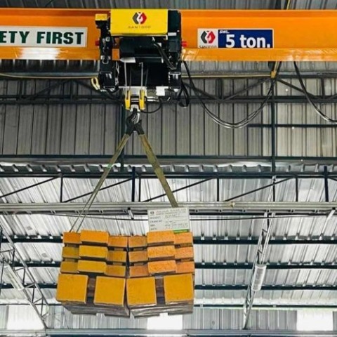 Wire rope hoist